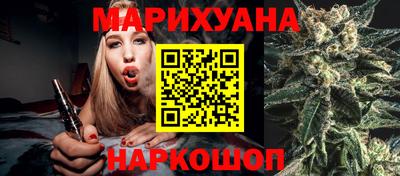 Альфа ПВП Обь